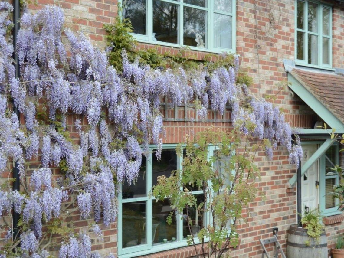 5 Charlton Mill Way B&B Chichester Exteriér fotografie
